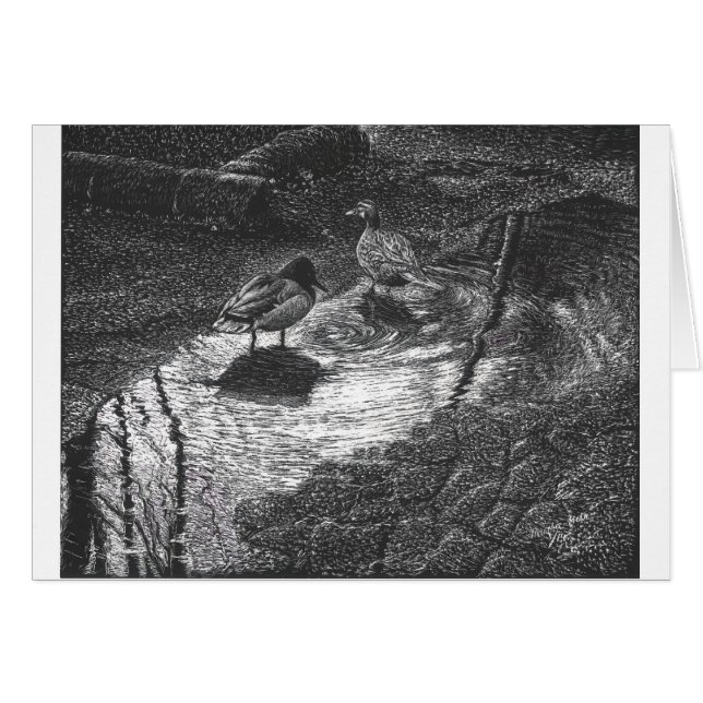 A pair of duck at a puddle after rain (Front Horizontal)