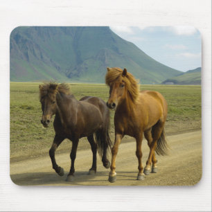 A Pair of fancy Brown Icelandic Ponies Mouse Mat