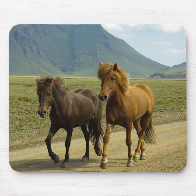 A Pair of fancy Brown Icelandic Ponies Mouse Mat (Front)