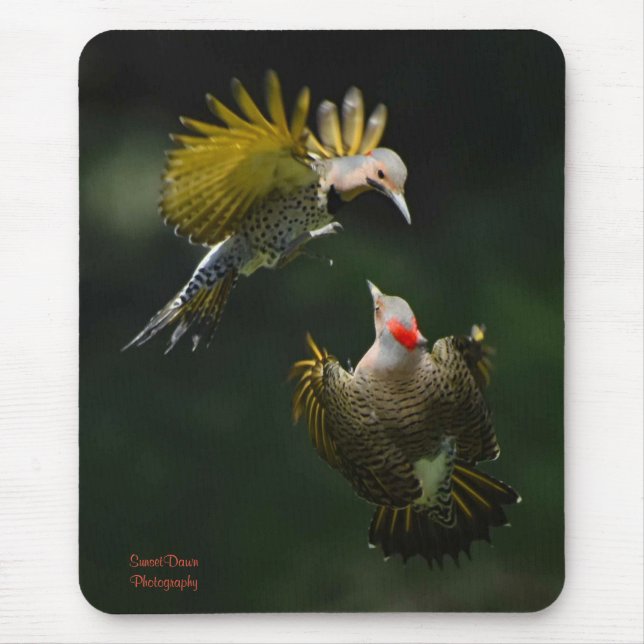 A Pair of Northern Flickers     Mouse Mat (Front)