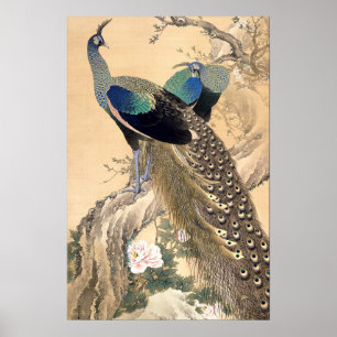 A Pair of Peacocks in Spring 1901 Japanese Art Poster