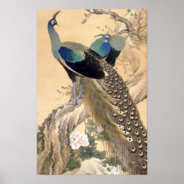 A Pair of Peacocks in Spring 1901 Japanese Art Poster (Front)