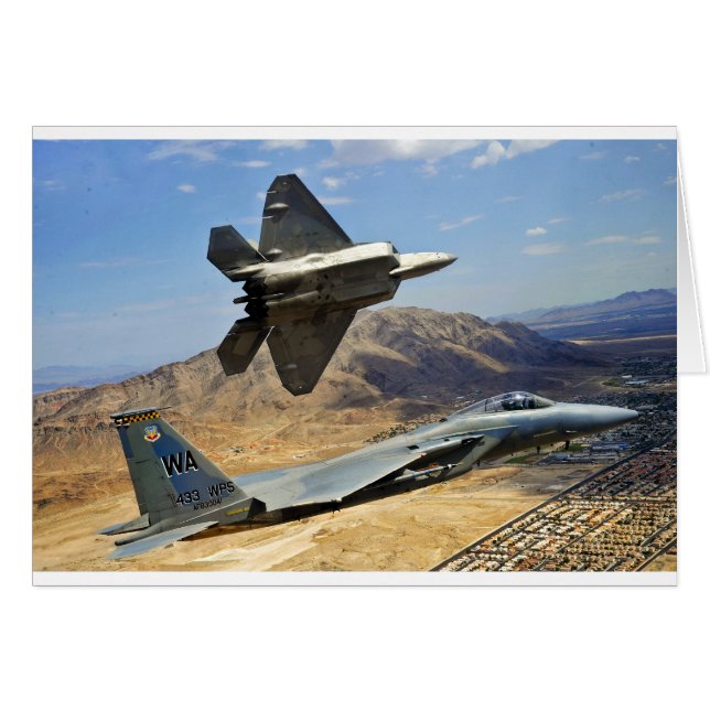 A PAIR OF RAPTOR'S (Front Horizontal)