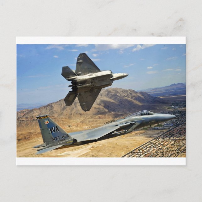 A PAIR OF RAPTOR'S POSTCARD (Front)