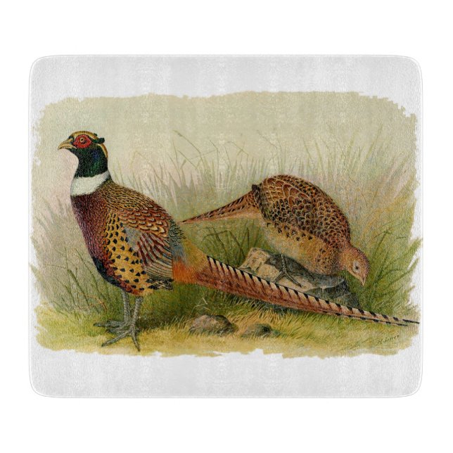A pair of Ring necked pheasants in a grassy field Cutting Board (Front)