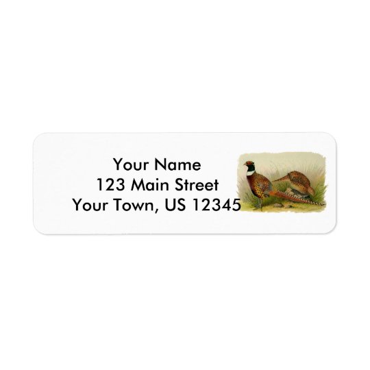 A pair of Ring necked pheasants in a grassy field Return Address Label