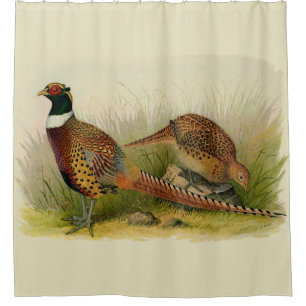 A pair of Ring necked pheasants in a grassy field Shower Curtain