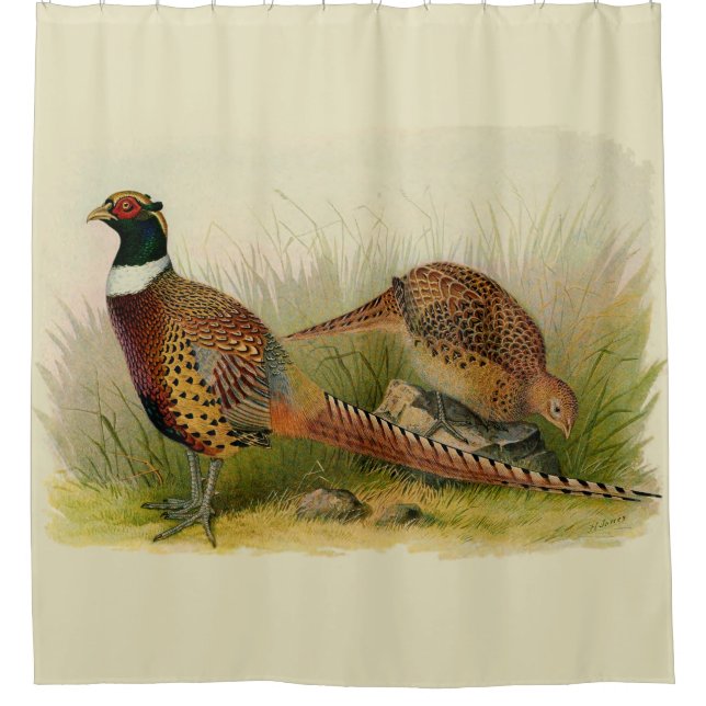 A pair of Ring necked pheasants in a grassy field Shower Curtain (Front)