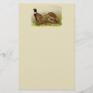 A pair of Ring necked pheasants in a grassy field Stationery