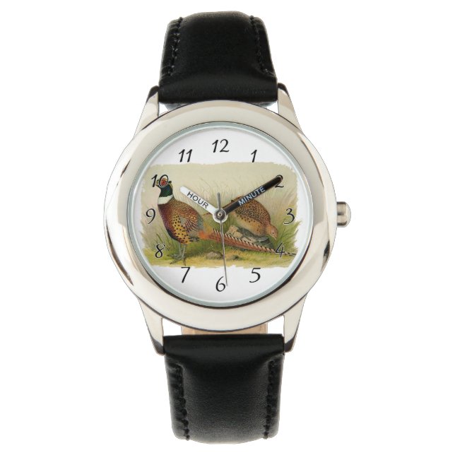 A pair of Ring necked pheasants in a grassy field Watch (Front)