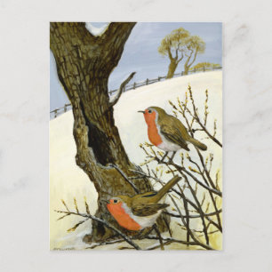 A Pair of Robins Postcard