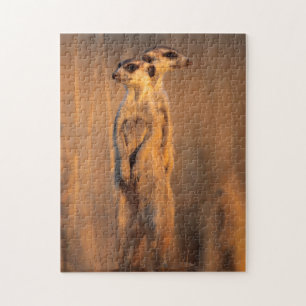 A pair of Suricates standing on a rock at sunset Jigsaw Puzzle