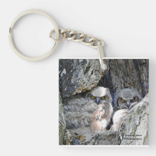 A pair of young owls key ring