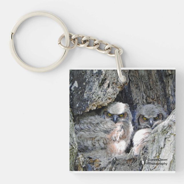 A pair of young owls key ring (Front)