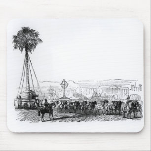 A palm tree being transported to Hyde Park for the Mouse Mat