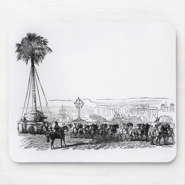 A palm tree being transported to Hyde Park for the Mouse Mat (Front)