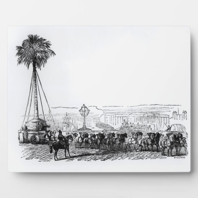 A palm tree being transported to Hyde Park for the Plaque (Front)