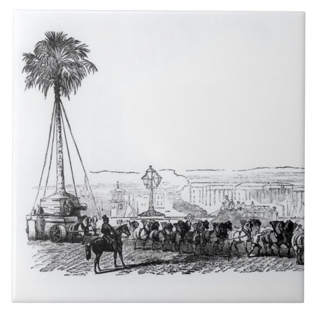 A palm tree being transported to Hyde Park for the Tile (Front)