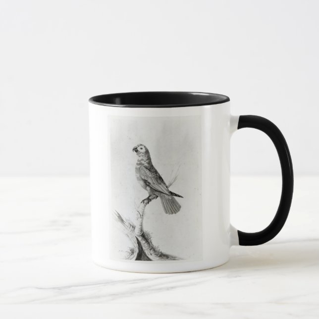 A Parrot, 1786 Mug (Right)