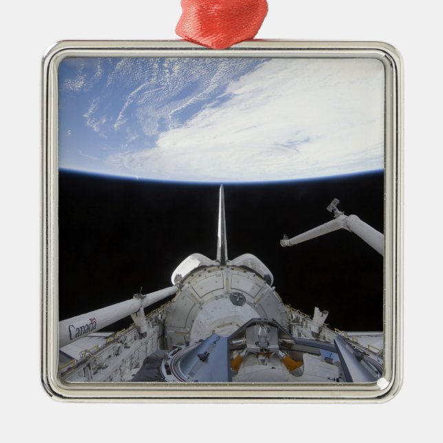 A partial view of the Tranquillity node Metal Tree Decoration (Front)