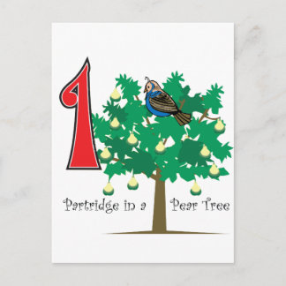 A Partridge in a Pear Tree Postcard