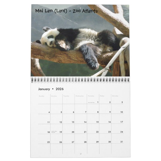 A Passion for Pandas!, 2009 Calend... - Customised Calendar (Jan 2026)