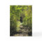 A Path In The Woods- Greeting Card