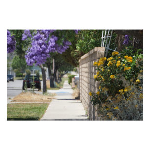 A path  photo print
