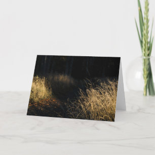 A path through a forest golden grass in sunlight card
