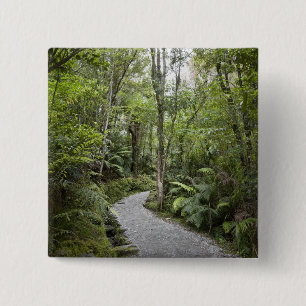 A path through a rain forest at the base of 15 cm square badge