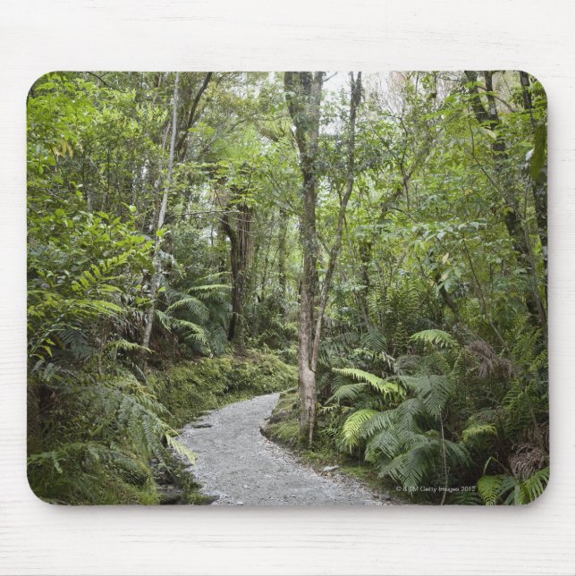A path through a rain forest at the base of mouse mat (Front)