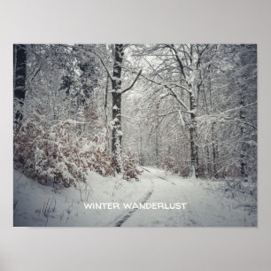  A path through the enchanted winter forest Poster