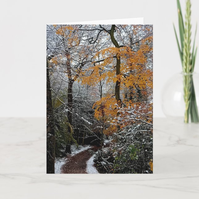 A path through the trees card (Front)