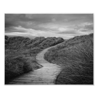 A Path to Where? Photo Print