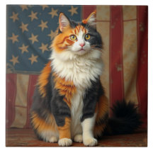 A patriotic cat