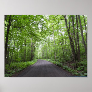 A Peaceful Walk in Woods Poster