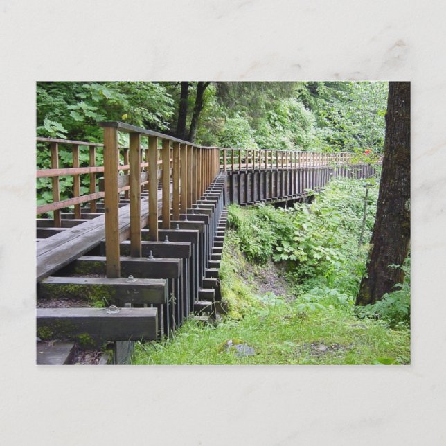 A Peaceful Walk Postcard (Front)