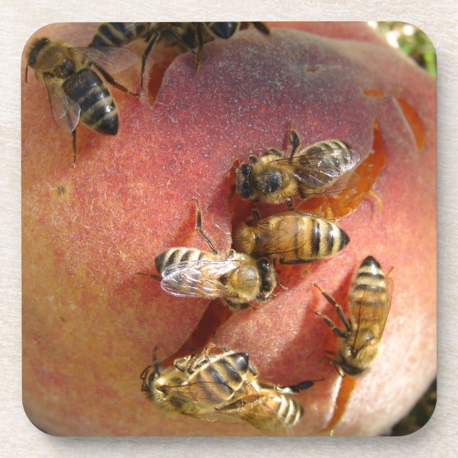 A Peach For The Bees Coaster (Front)
