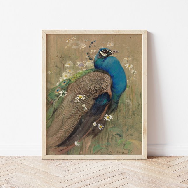 A Peacock and Marguerites | Edwin John Alexander Poster (Creator Uploaded)