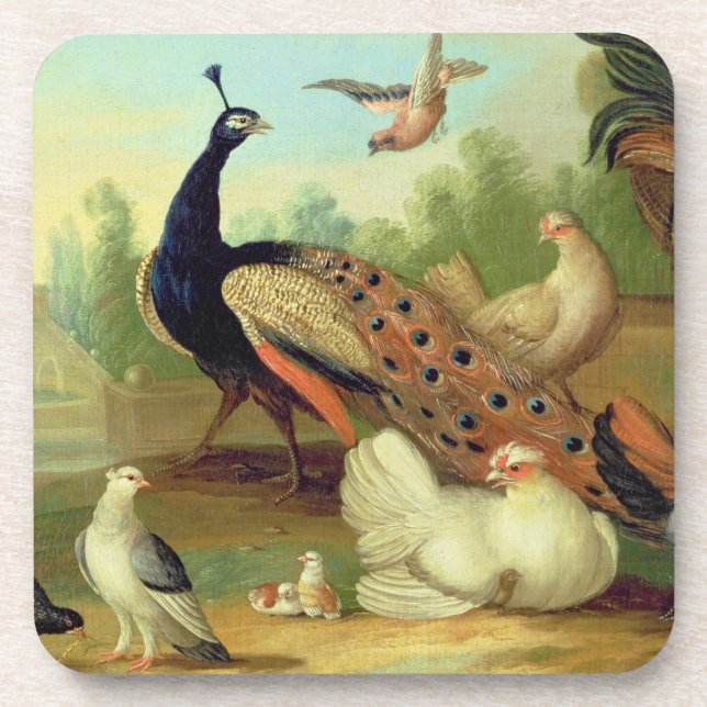 A Peacock, Doves, Chickens and a Jay in a Park Coaster (Front)