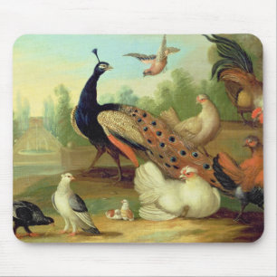 A Peacock, Doves, Chickens and a Jay in a Park Mouse Mat