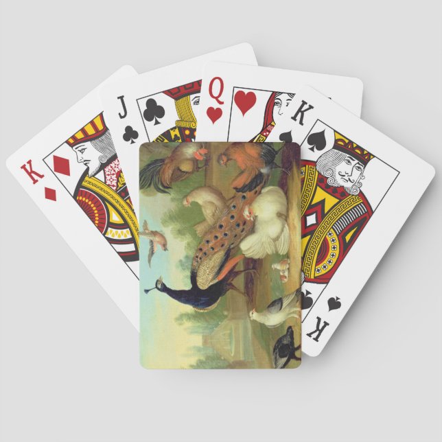 A Peacock, Doves, Chickens and a Jay in a Park Playing Cards (Back)
