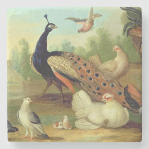 A Peacock, Doves, Chickens and a Jay in a Park Stone Coaster