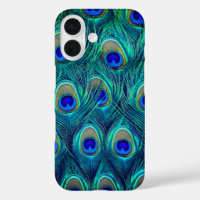 A Peacocks  Feathers   