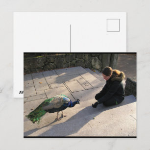 A Peacock's Trust Postcard