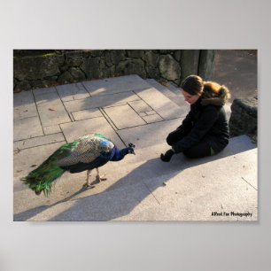 A Peacock's Trust Poster
