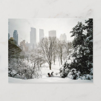 A Pedicab in Central Park During Winter Postcard