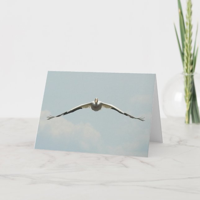 A Pelican Soaring over the  Mississippi River   Card (Front)