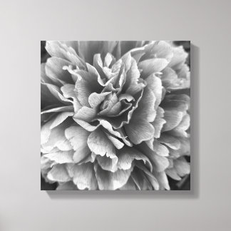 A Peony By Any Other Name Canvas Print