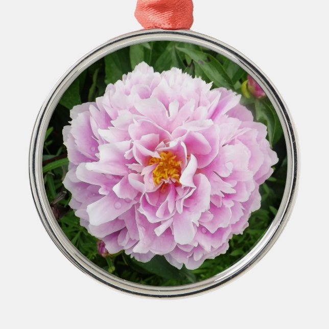 A Peony with Raindrops Metal Tree Decoration (Front)
